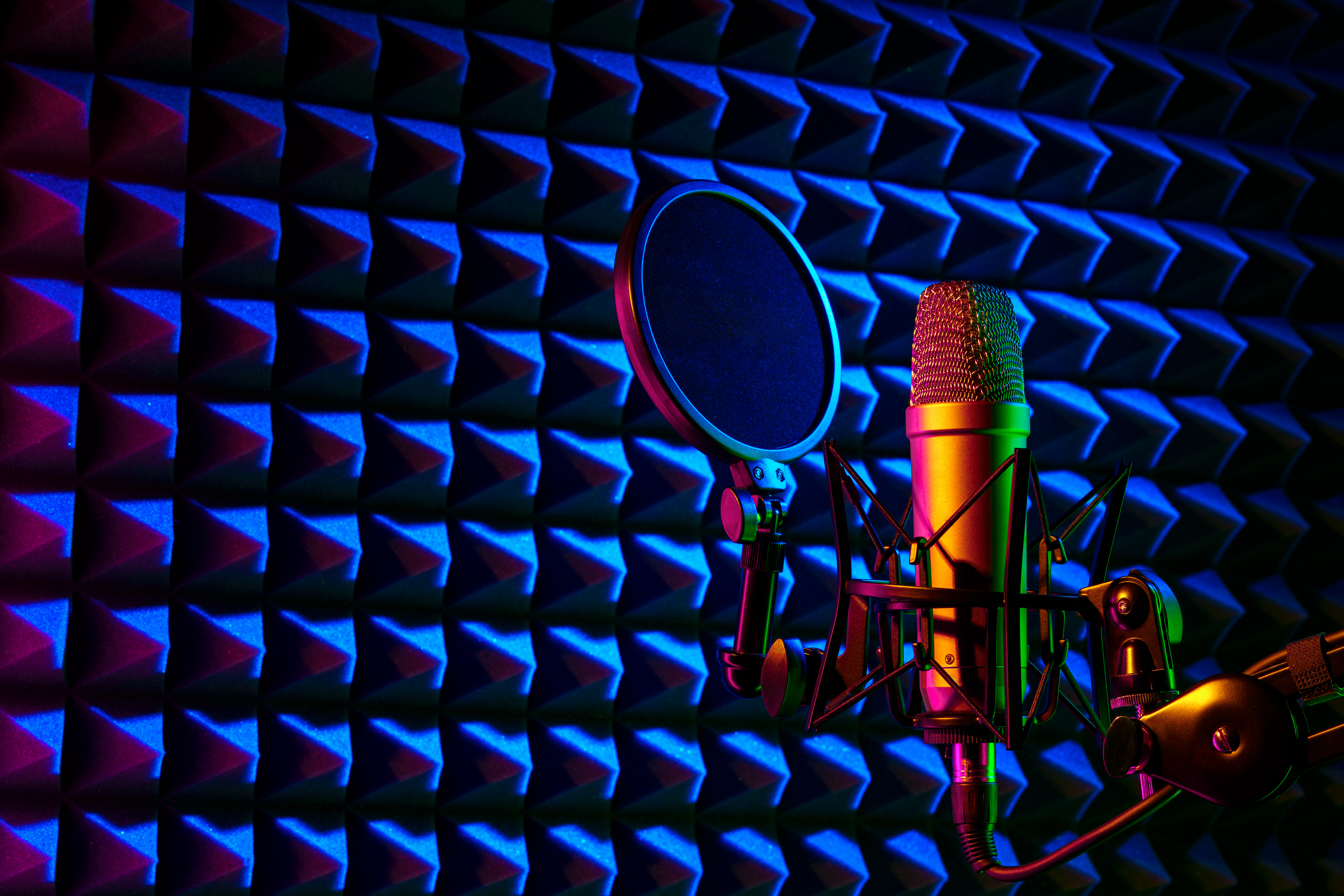 Dubbing service